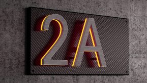 Carbon Fiber Backplate for 8″ Numbers